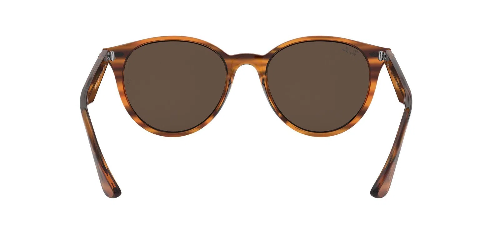 Ray-Ban 4305 Sunglasses - view 29